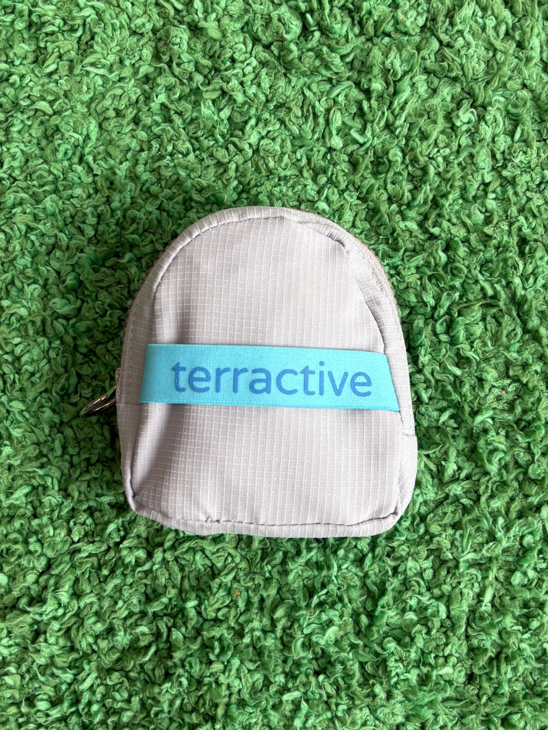 TerraMini